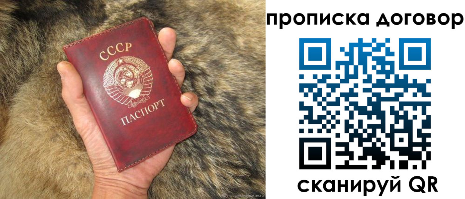 прописка регистрация в Емве